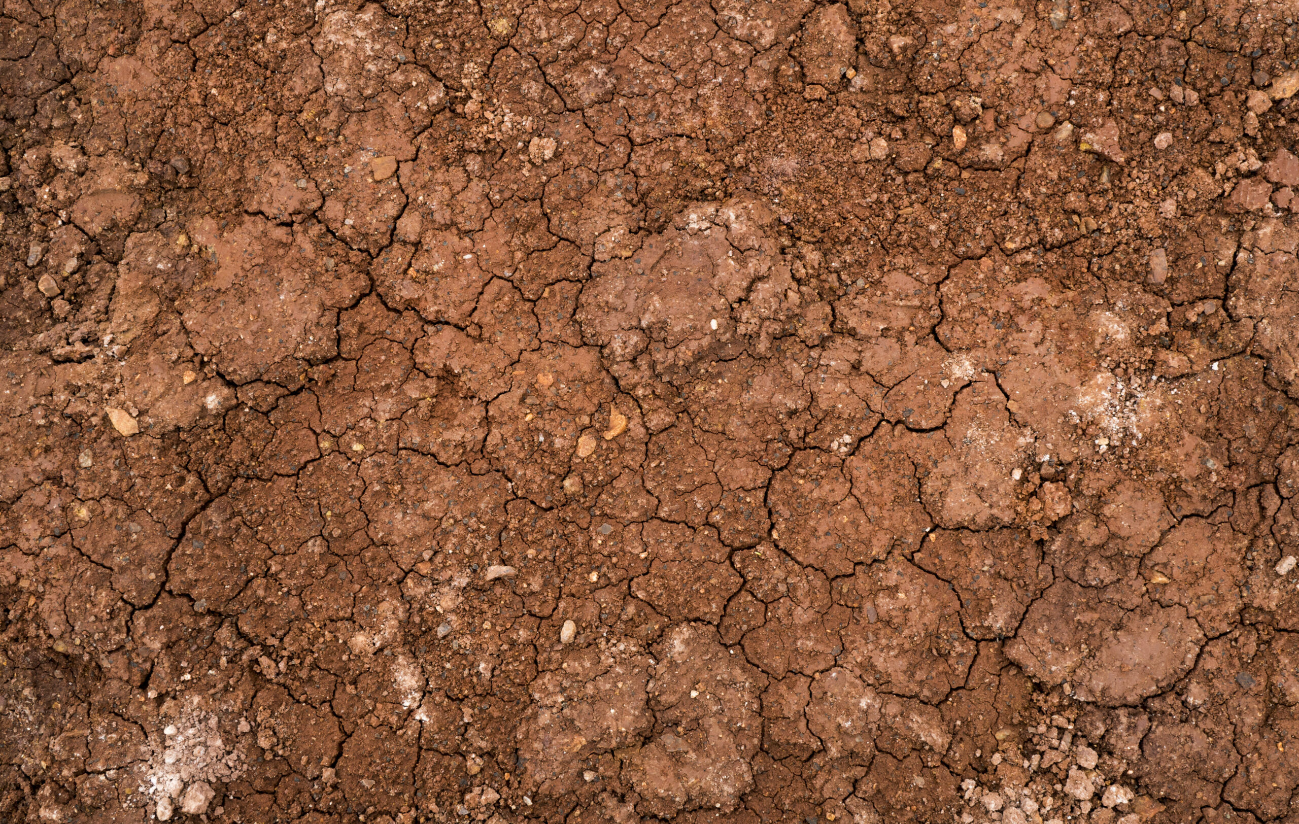 Cracking Soils Indicate Localized Drought Stress Hortau